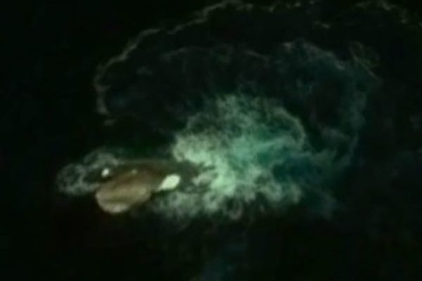 Кракен сайт в тор браузере