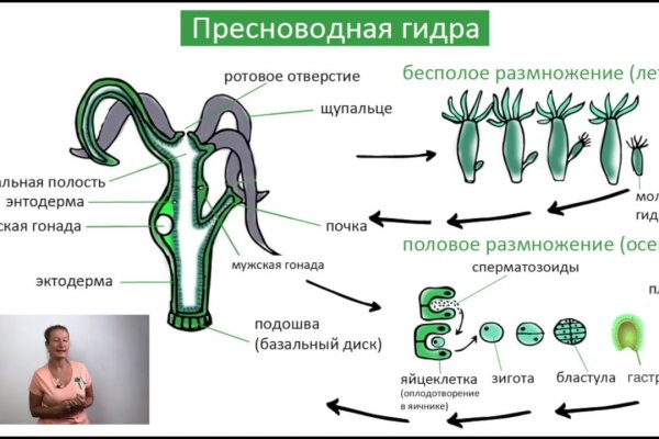 Kraken shop ссылка