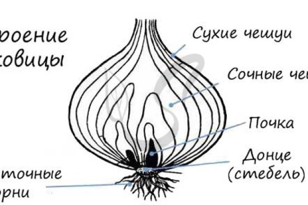 Ссылки на кракен com