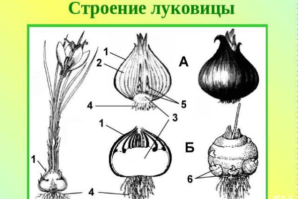 Кракен зеркало москва